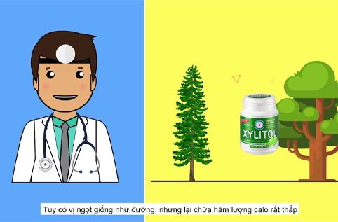 Chất Xylitol trong kẹo Gum Lotte Xylitol là gì?