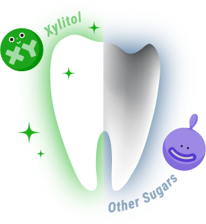 In case of eating LOTTE XYLITOL DENTAL GUM or not How will your teeth ?