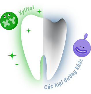 Nếu ăn Kẹo Gum Nha Khoa LOTTE XYLITOL hoặc không Răng của bạn sẽ như thế nào ?